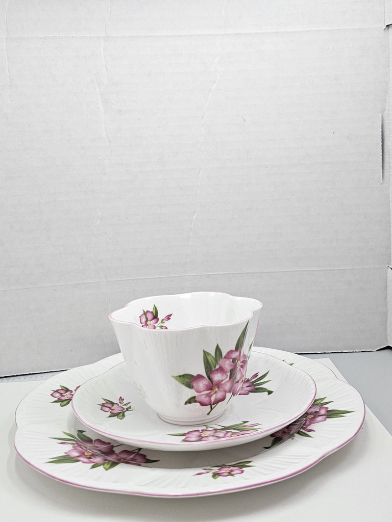 Shelley England Dainty Porcelain Cup Saucer Trio Pink Oleander Pattern Pink Trim