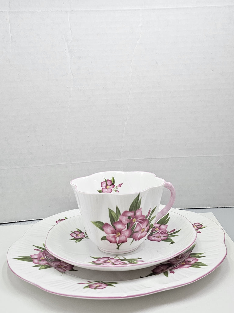 Shelley England Dainty Porcelain Cup Saucer Trio Pink Oleander Pattern Pink Trim