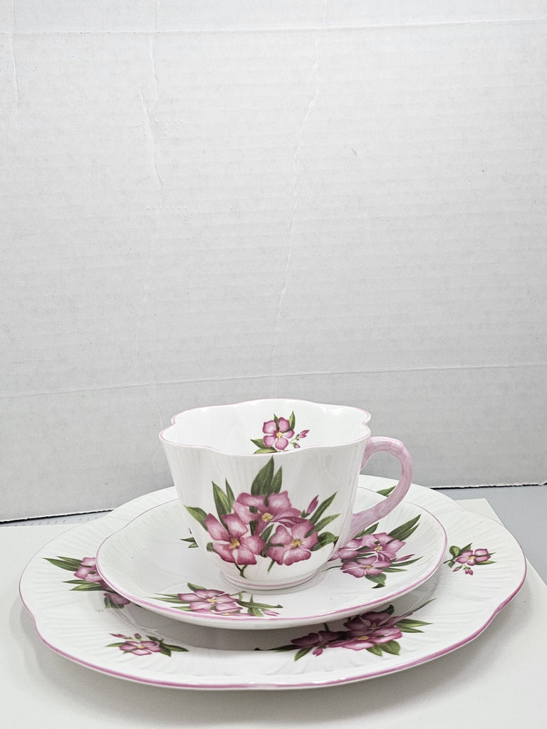 Shelley England Dainty Porcelain Cup Saucer Trio Pink Oleander Pattern Pink Trim