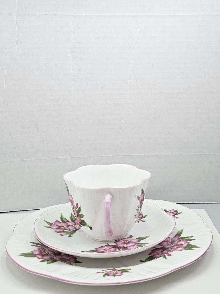 Shelley England Dainty Porcelain Cup Saucer Trio Pink Oleander Pattern Pink Trim