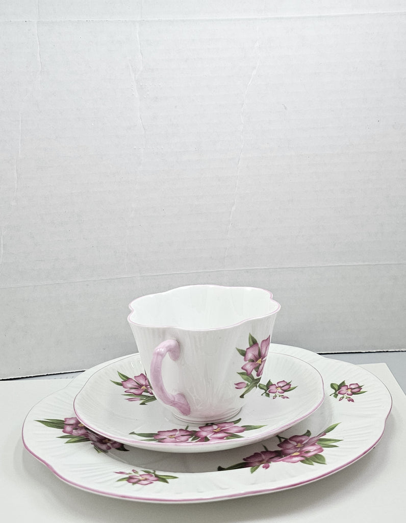 Shelley England Dainty Porcelain Cup Saucer Trio Pink Oleander Pattern Pink Trim