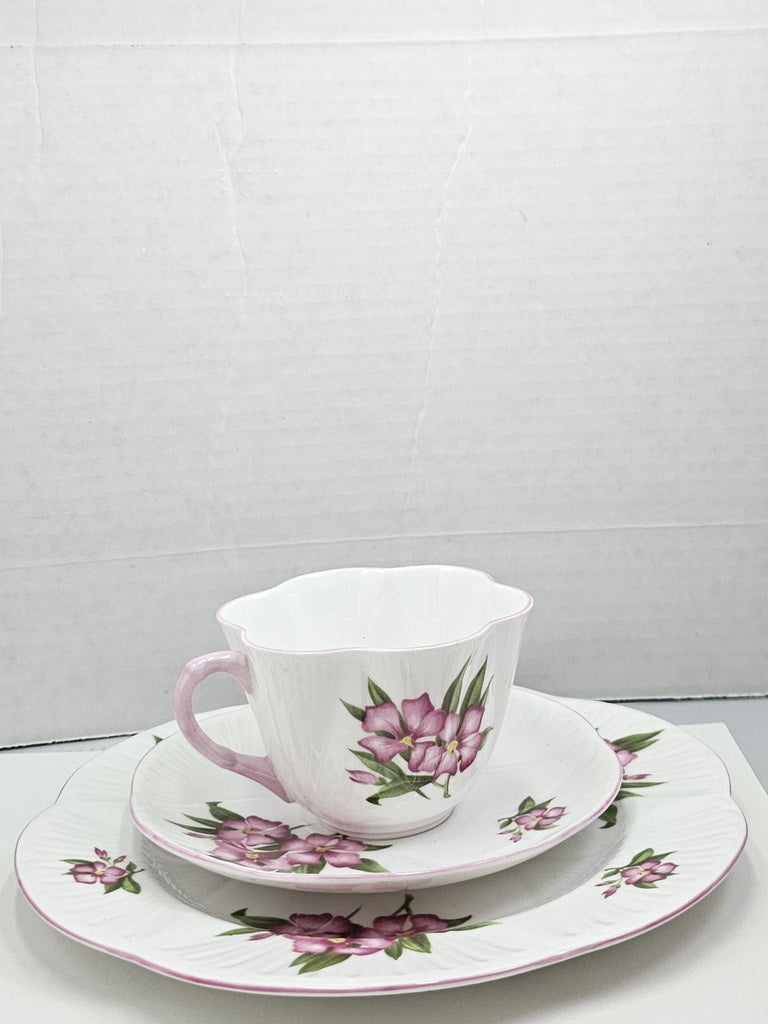 Shelley England Dainty Porcelain Cup Saucer Trio Pink Oleander Pattern Pink Trim