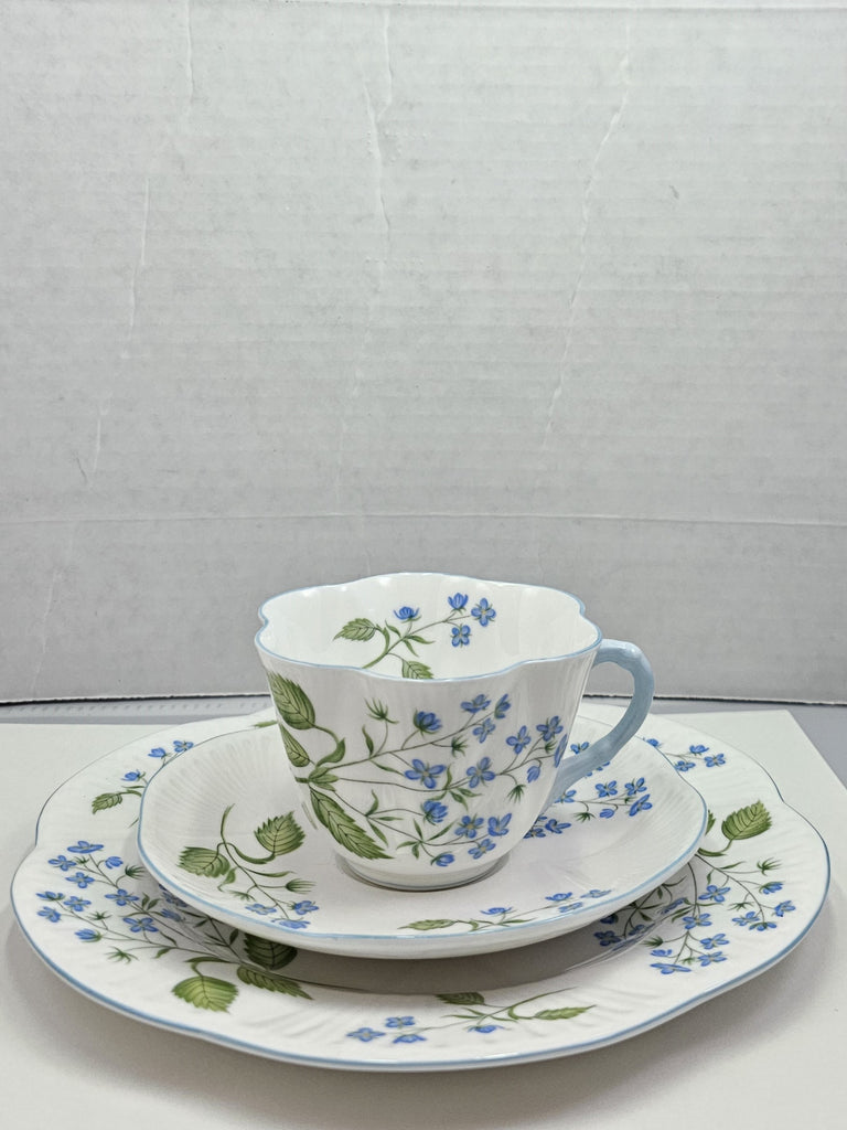 Shelley England Dainty Porcelain Cup Saucer Trio American Brooklime Pattern Cornflower Blue Trim