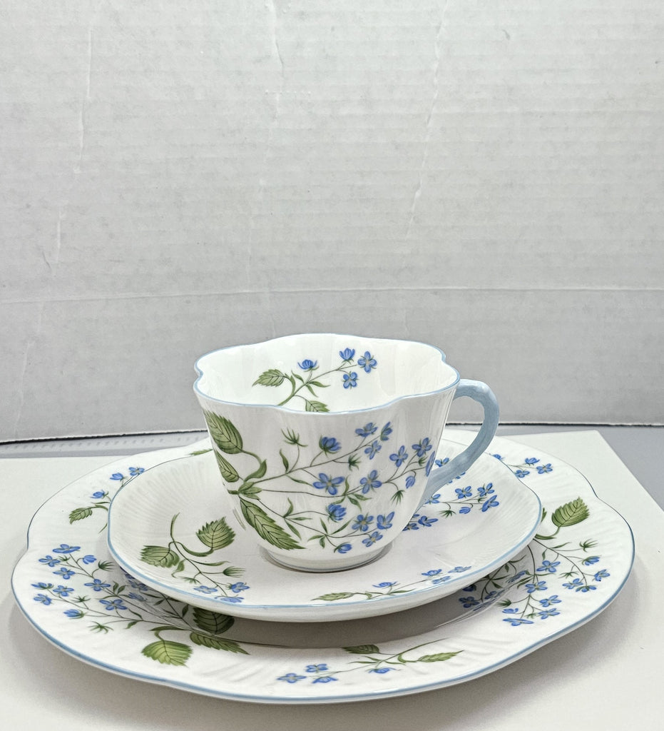 Shelley England Dainty Porcelain Cup Saucer Trio American Brooklime Pattern Cornflower Blue Trim