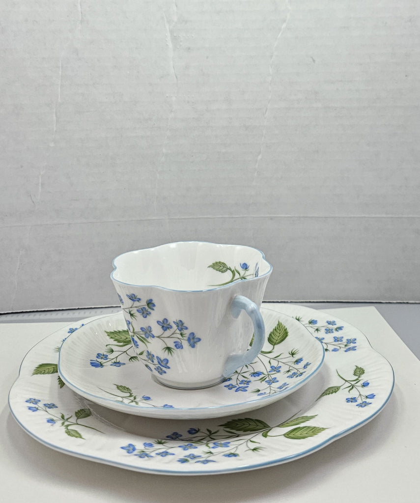 Shelley England Dainty Porcelain Cup Saucer Trio American Brooklime Pattern Cornflower Blue Trim