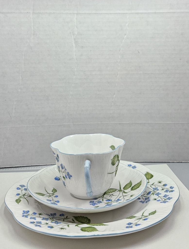 Shelley England Dainty Porcelain Cup Saucer Trio American Brooklime Pattern Cornflower Blue Trim