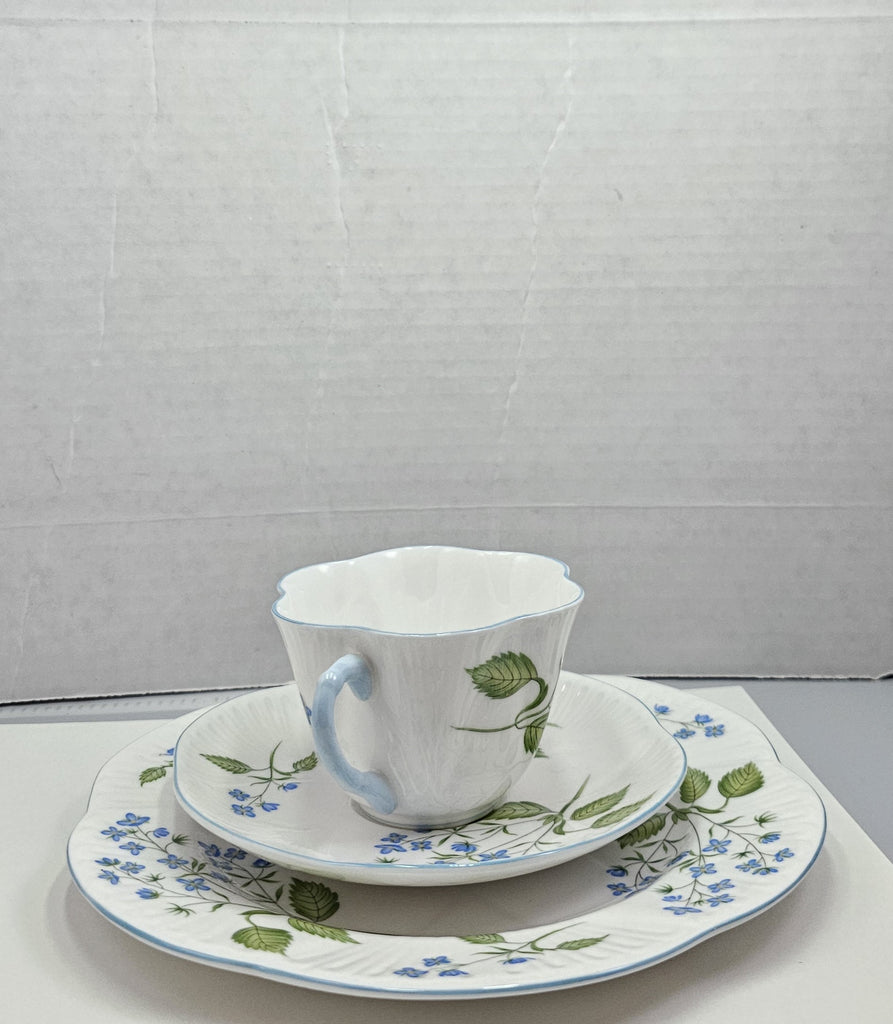 Shelley England Dainty Porcelain Cup Saucer Trio American Brooklime Pattern Cornflower Blue Trim