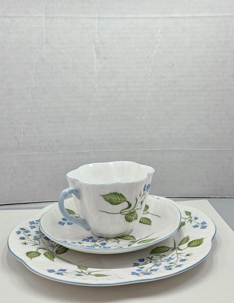 Shelley England Dainty Porcelain Cup Saucer Trio American Brooklime Pattern Cornflower Blue Trim