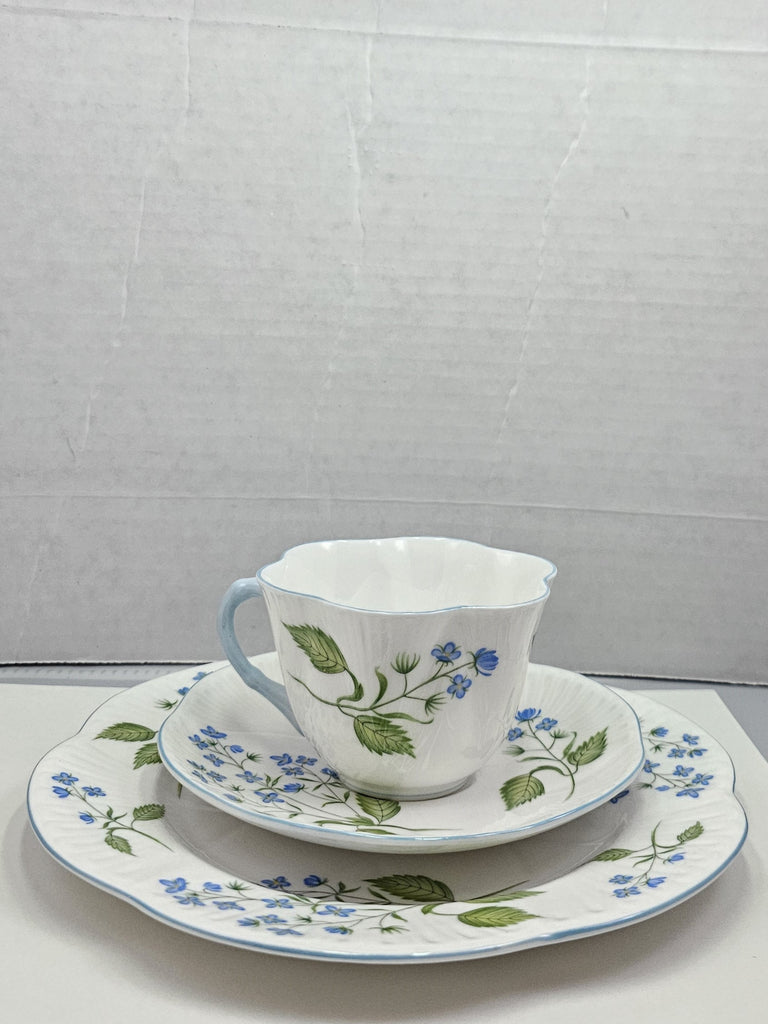 Shelley England Dainty Porcelain Cup Saucer Trio American Brooklime Pattern Cornflower Blue Trim