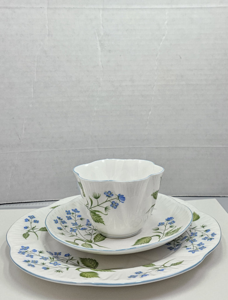 Shelley England Dainty Porcelain Cup Saucer Trio American Brooklime Pattern Cornflower Blue Trim