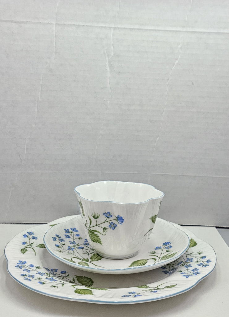 Shelley England Dainty Porcelain Cup Saucer Trio American Brooklime Pattern Cornflower Blue Trim