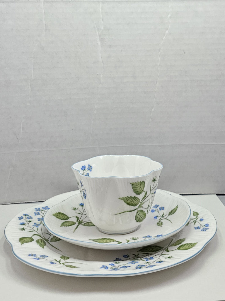 Shelley England Dainty Porcelain Cup Saucer Trio American Brooklime Pattern Cornflower Blue Trim