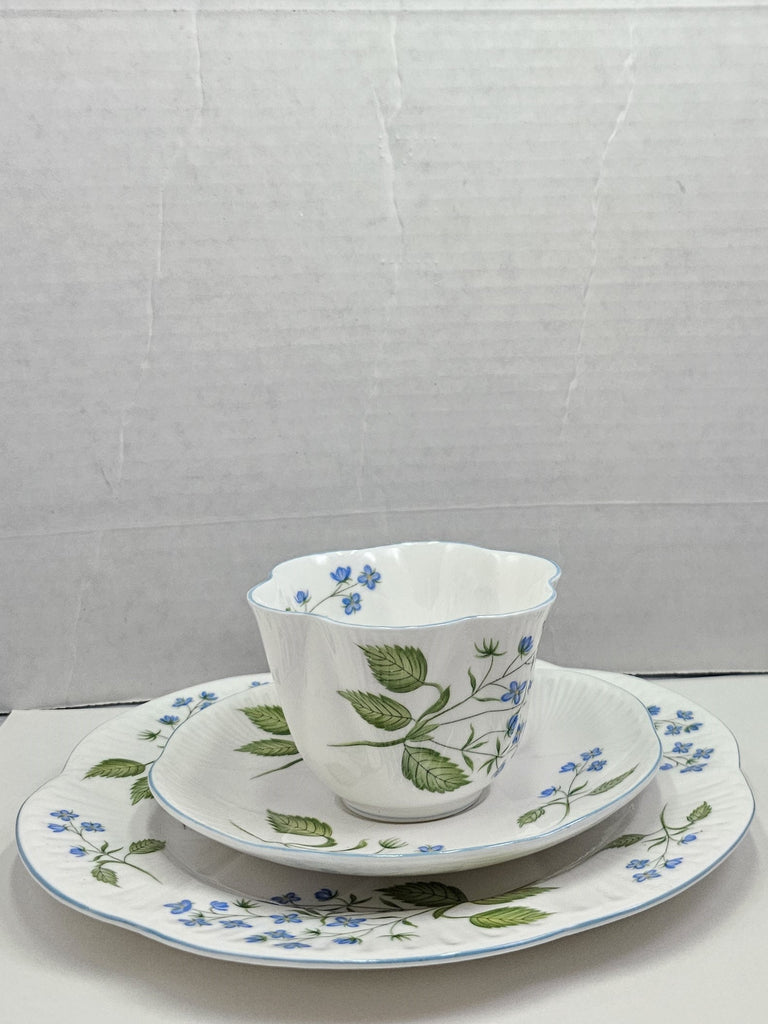 Shelley England Dainty Porcelain Cup Saucer Trio American Brooklime Pattern Cornflower Blue Trim