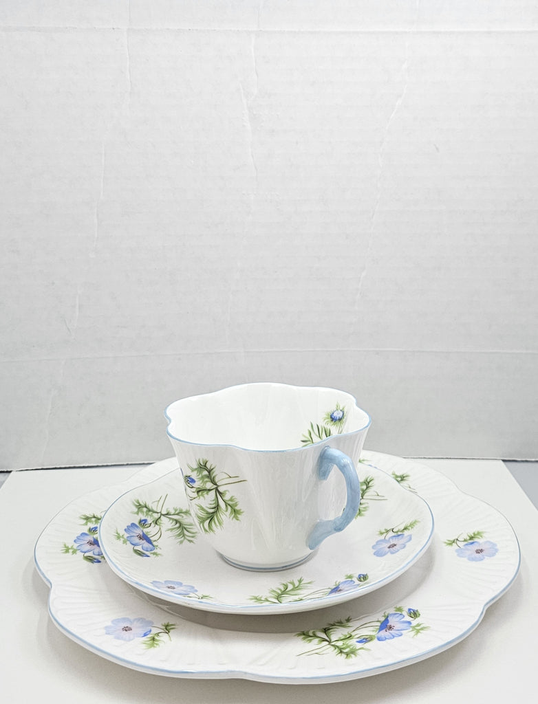 Shelley England Dainty Porcelain Cup Saucer Trio Blue Poppy Pattern Cornflower Blue Trim