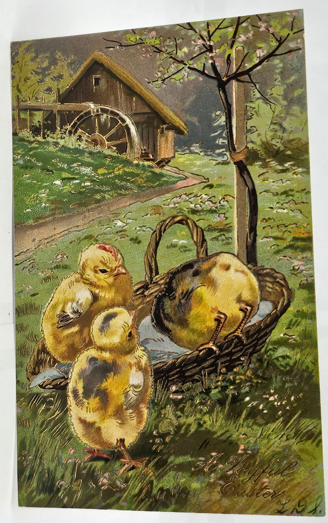 Easter Postcard Baby Chicks in Basket PFB Publishing Series 5801 Embossed Card Germany