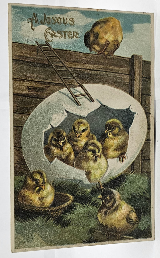 Easter Postcard Embossed Baby Chicks Busting Out of Giant Egg Using Ladder To Jump Fence Printed in Germany