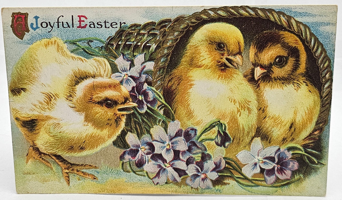 Easter Postcard Embossed Baby Chicks with Violets Series 713
