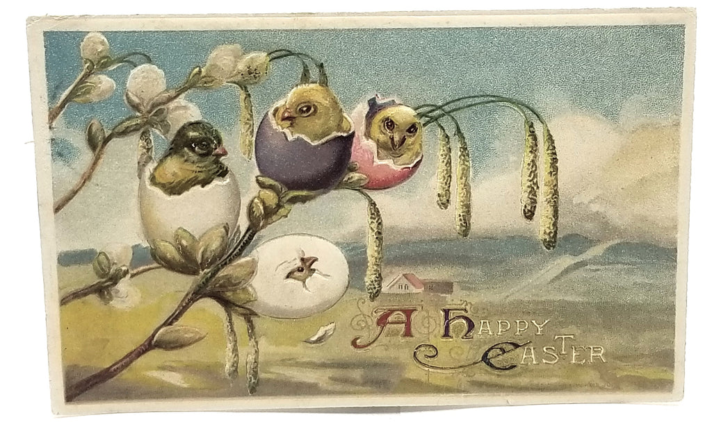 Antique Easter Postcard, Vintage Holiday Post Card, Baby Chicks in Painted Eggs on Pussy Willow Branch Winsch Publishing