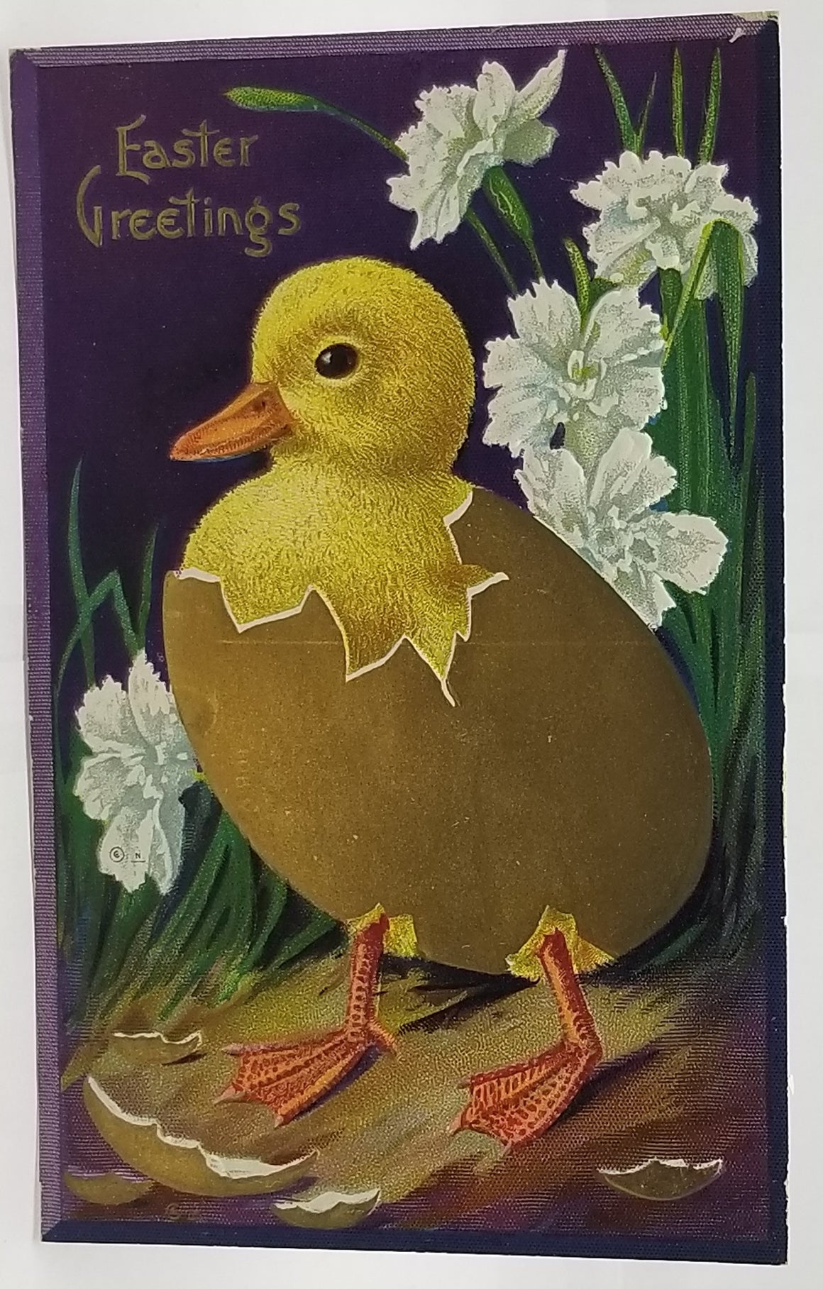 Antique Vintage Easter Postcard, Little Duck Walking in Broken Golden Egg Purple Background with Flowers Series 26