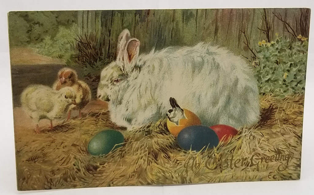 Easter Postcard White Long Haired Rabbit with Baby Bunnies in Eggs No 1041 Ernst Nister Pub.