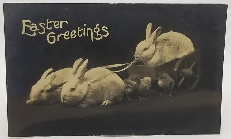 Easter Postcard Real Photo Style RPPC Card White Bunny Rabbits Pulling Wagon with Baby Chicks