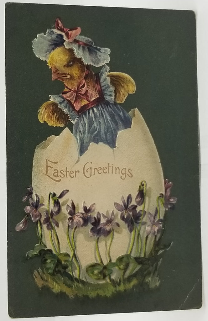 Easter Postcard Anthropomorphic Baby Chick in Blue Dress Popping Out of Egg with Purple Flowers Series 6771 Germany