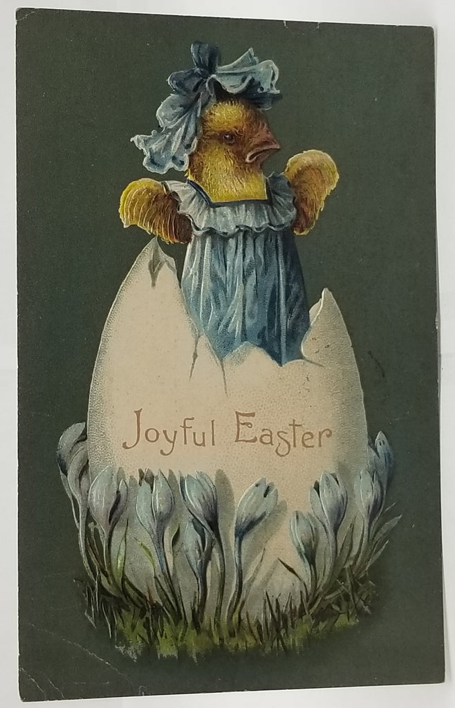 Easter Postcard Easter Postcard Anthropomorphic Baby Chick in Blue Dress Popping Out of Egg with Blue Flowers Series 6771 Germany