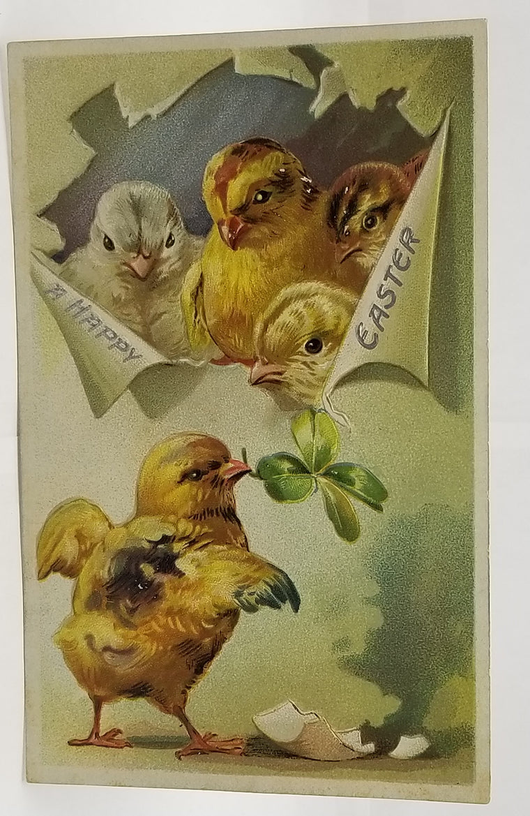 Antique Vintage Easter Postcard, Baby Chicks Four Leaf Clover Raphael Tuck Post Card Series 700