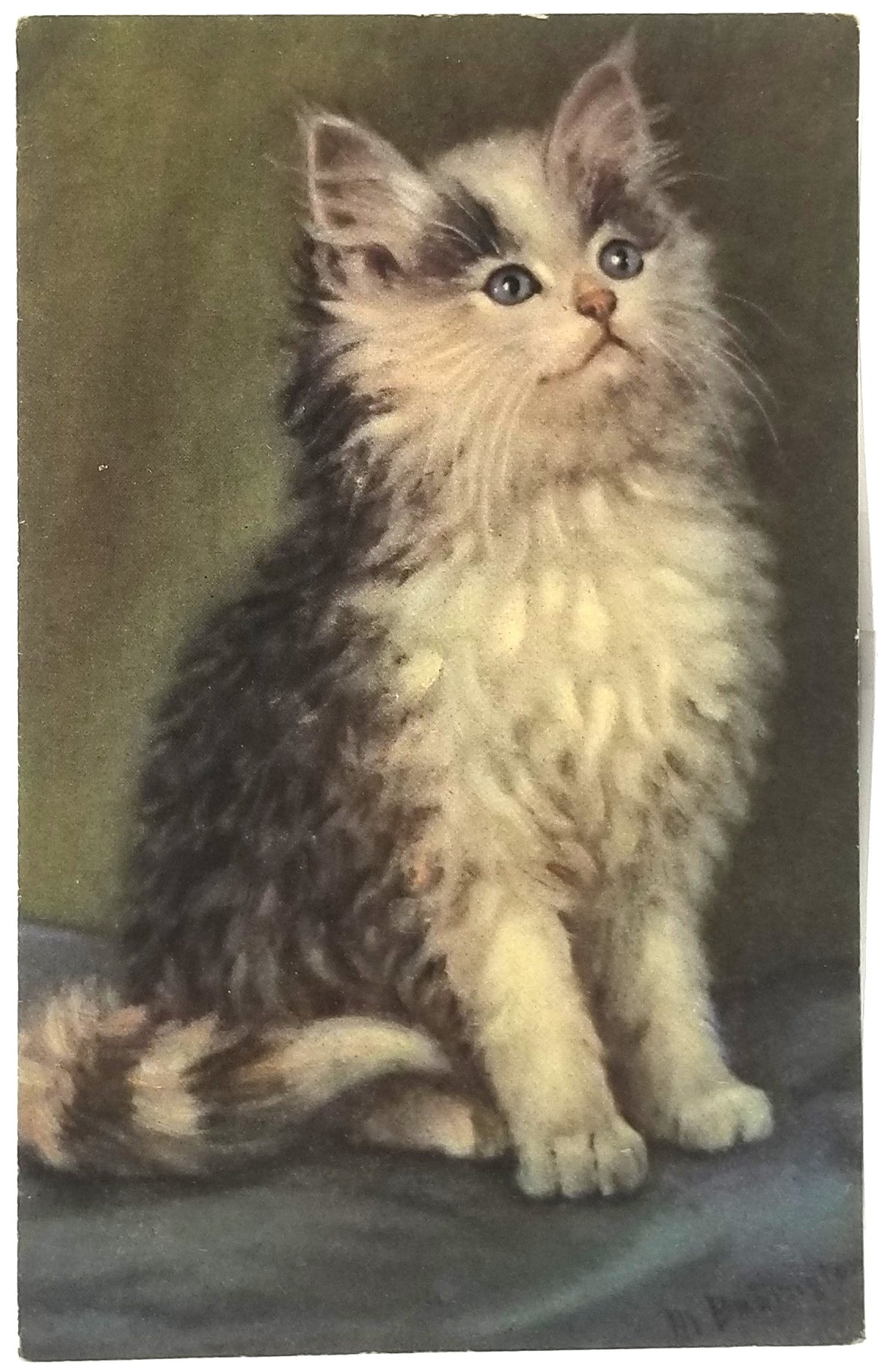 Cat Postcard Little Black & White Kitten with Blue Eyes Posing for Portrait Artist Signed LR