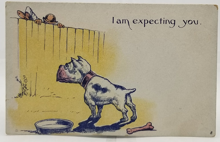 Comic Postcard Man Climbing Fence with Bulldog Waiting