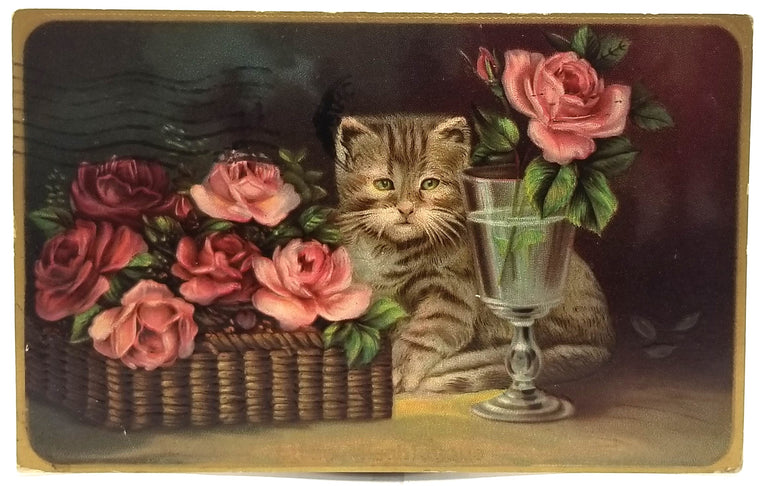 Cat Postcard Kitten with Pink Roses Series 663 Titled Household Pet Gel Finish