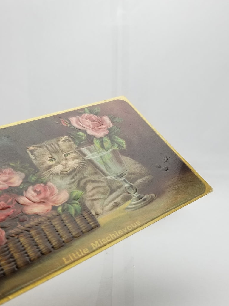 Cat Postcard Kitten with Pink Roses Series 663 Titled Household Pet Gel Finish