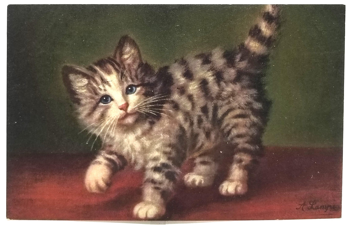 Cat Postcard Little Black & White Tiger Kitten with Blue Eyes Posing for Portrait Artist Signed LR