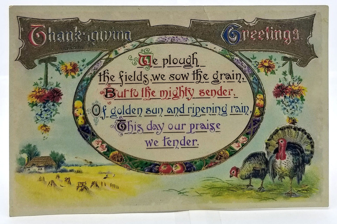 Thanksgiving Postcard Turkeys with Fruit Gold Embossed Poem Series 2484