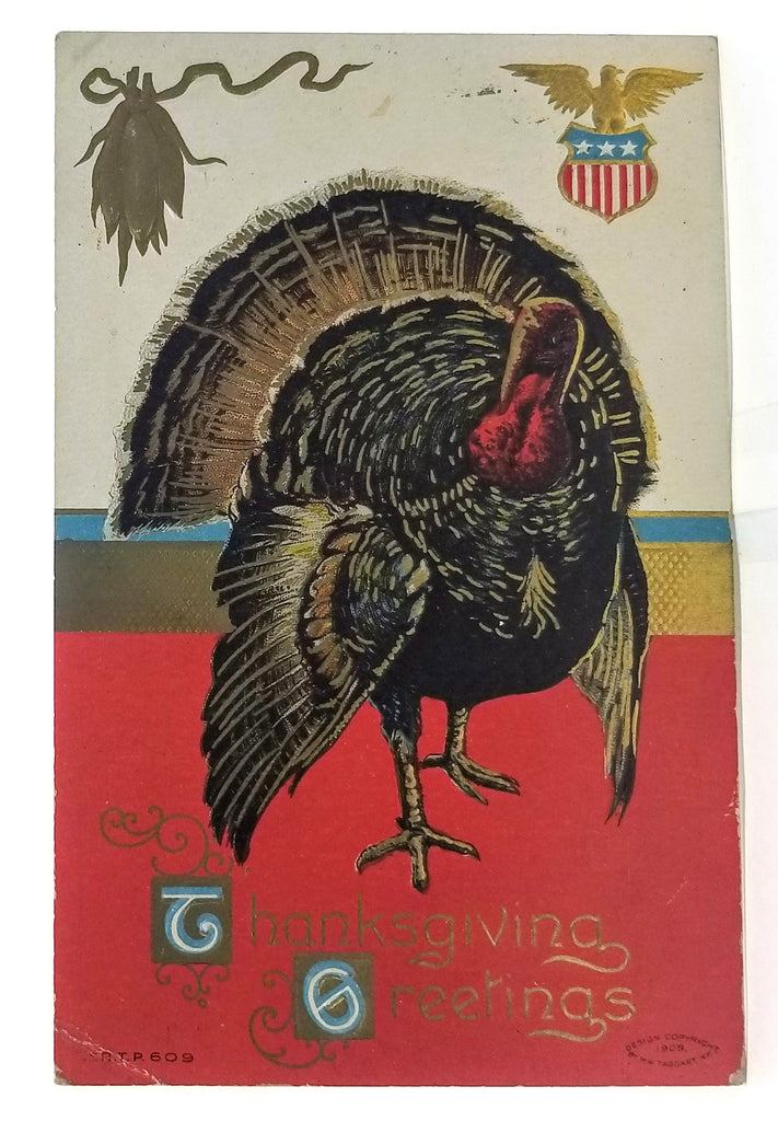 Thanksgiving Postcard Gold Highlighted Turkey Bird