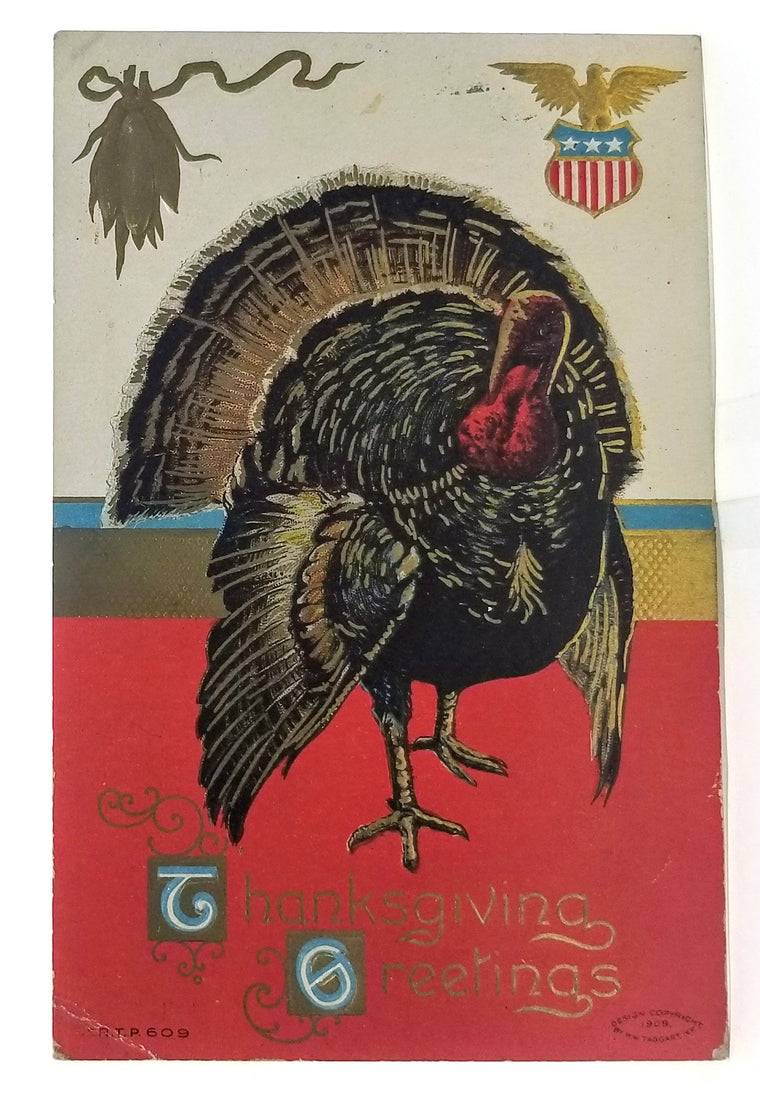 Thanksgiving Postcard Gold Highlighted Turkey Bird