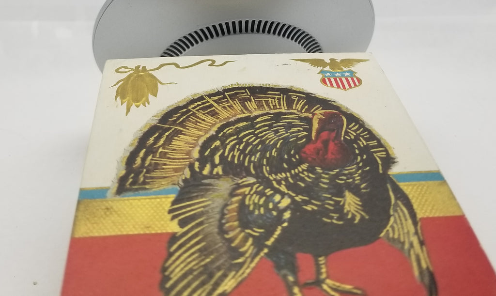 Thanksgiving Postcard Gold Highlighted Turkey Bird