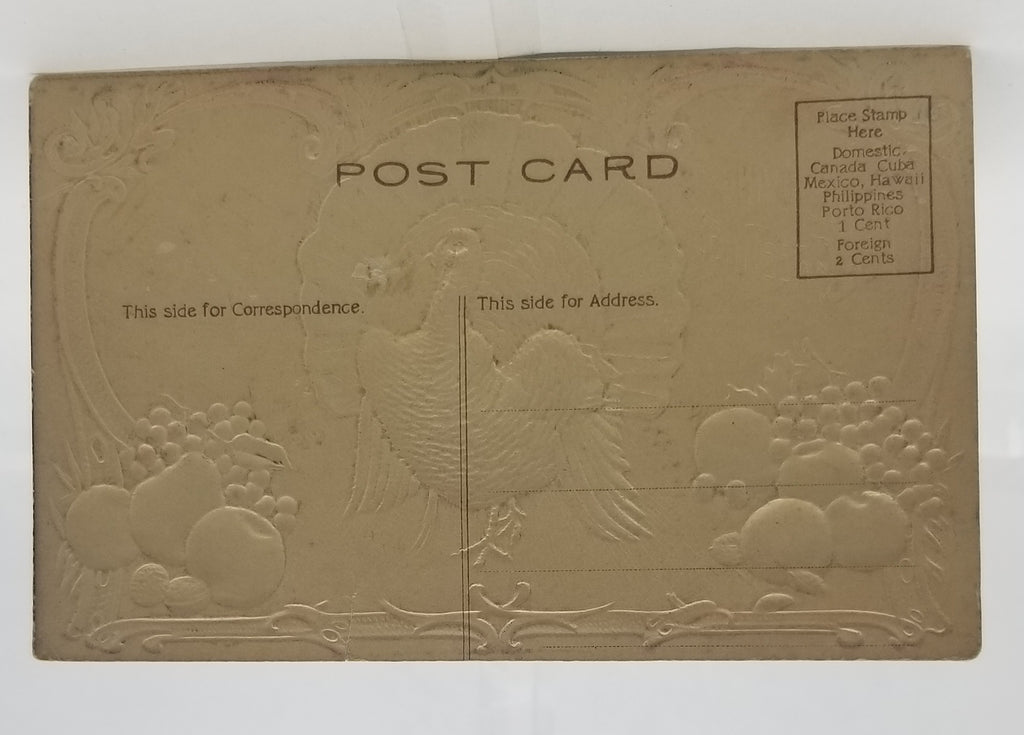 Thanksgiving Postcard Heavy Embossed Gold Highlights Airbrushed Turkey Bird