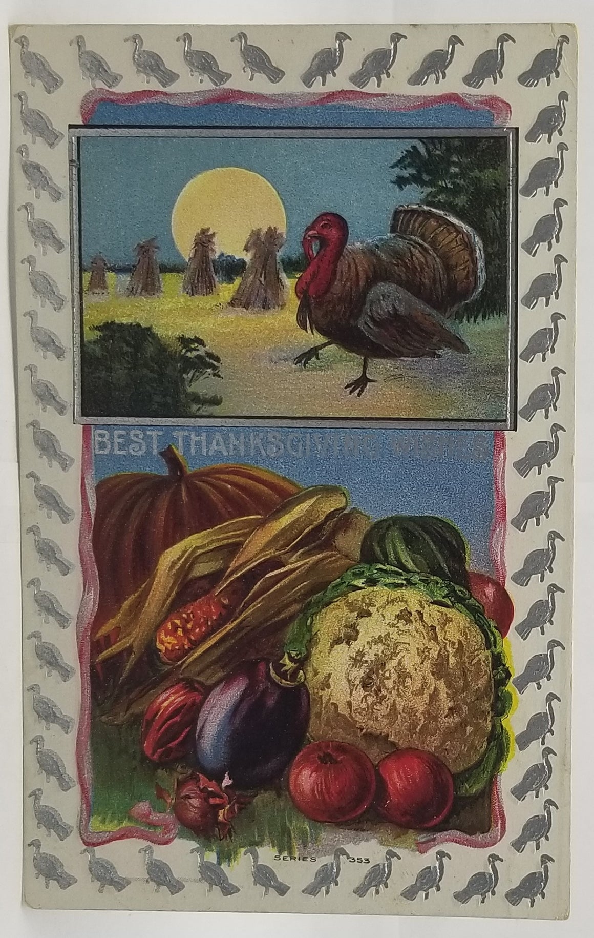 Thanksgiving Postcard Nighttime Turkey in Moonlight Harvest Picture Silver Highlights Turkeys Border