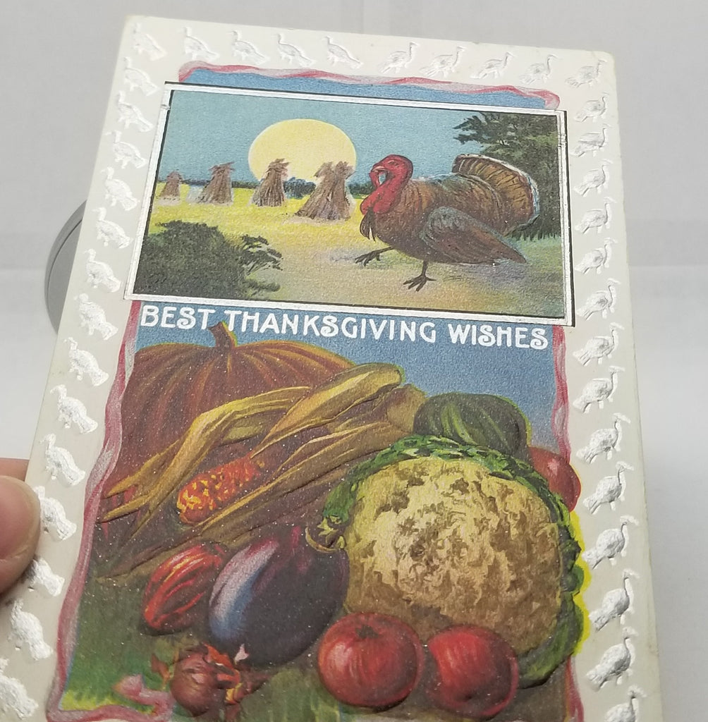 Thanksgiving Postcard Nighttime Turkey in Moonlight Harvest Picture Silver Highlights Turkeys Border