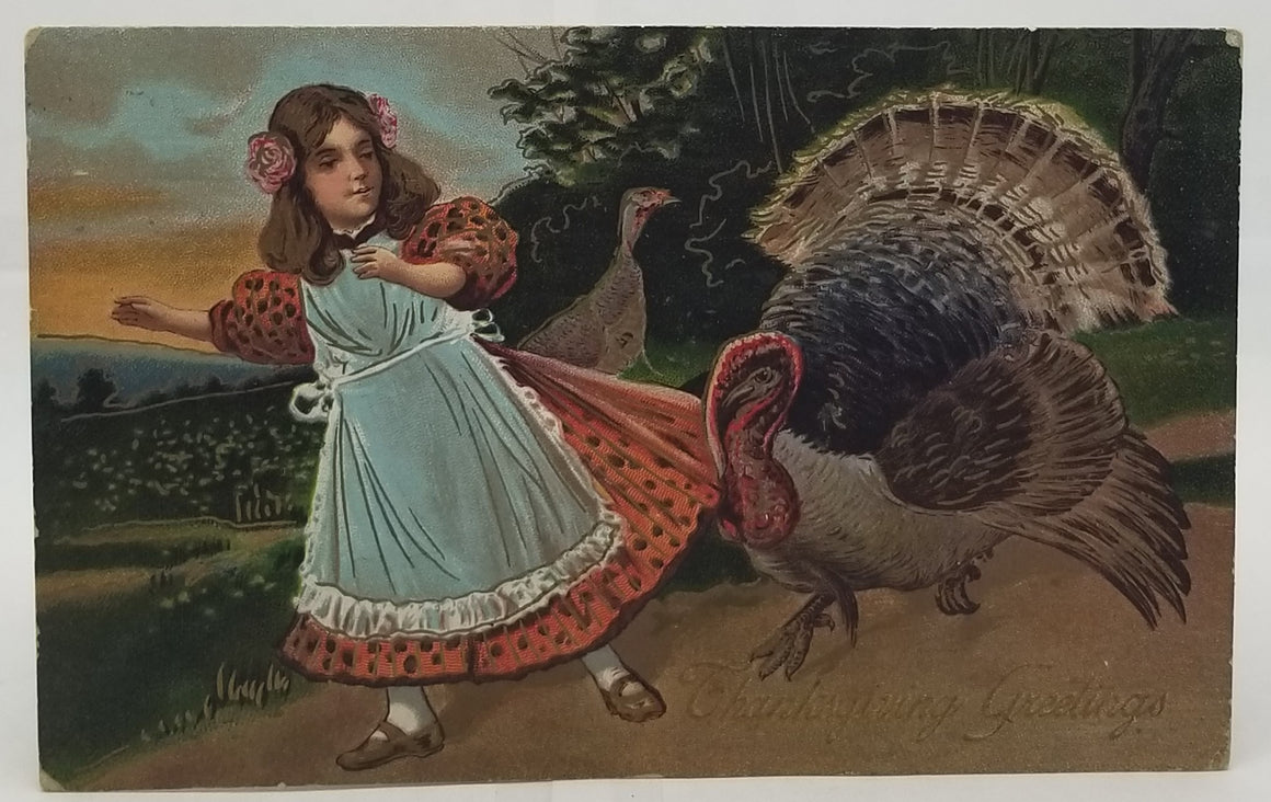 Thanksgiving Postcard Little Girl Wearing Dress and Blue Apron Walking with Turkeys N601