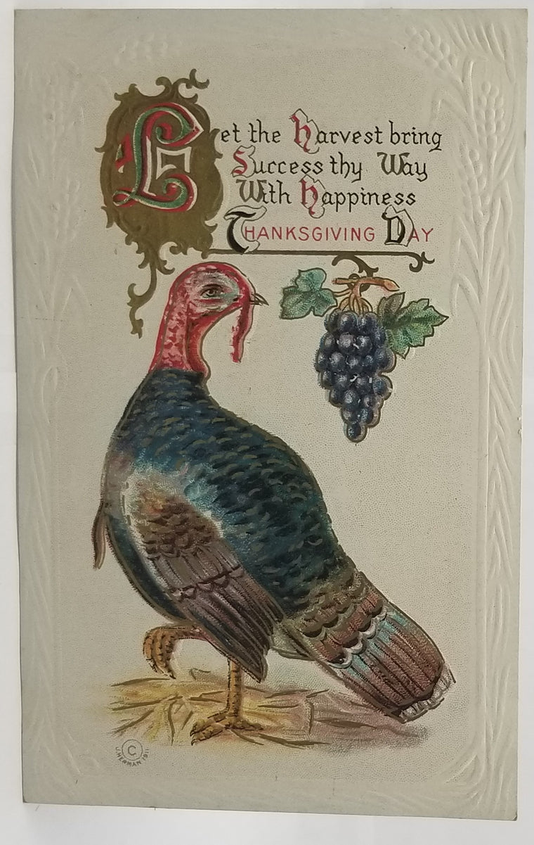 Thanksgiving Postcard Turkey with Hanging Grapes Gold Embossed with Greeting