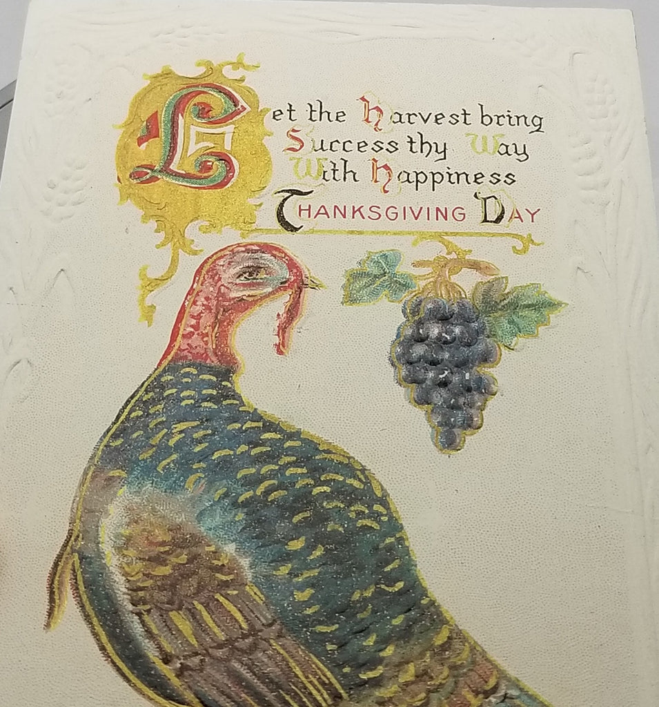 Thanksgiving Postcard Turkey with Hanging Grapes Gold Embossed with Greeting