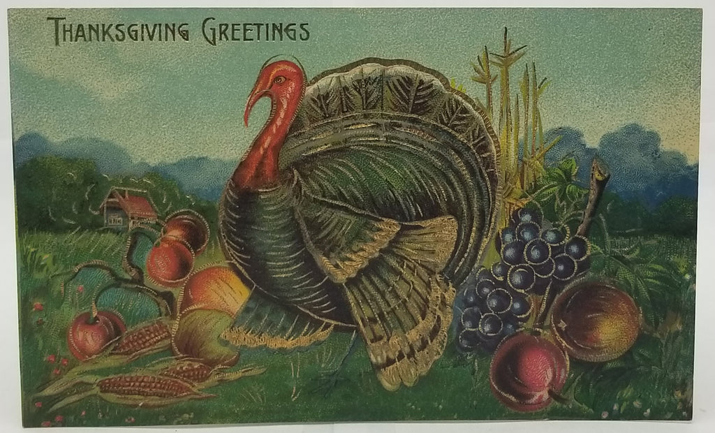 Thanksgiving Postcard Turkey Embossed with Gold Highlights with Fall Harvest Food  Series B125