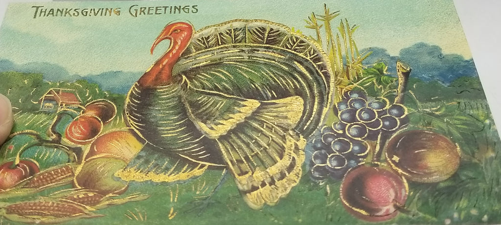 Thanksgiving Postcard Turkey Embossed with Gold Highlights with Fall Harvest Food  Series B125