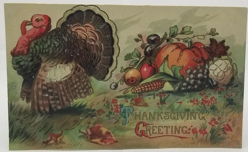 Thanksgiving Postcard Embossed Turkey in Grass with Fall Harvest Pumpkins & Grapes Series 0848