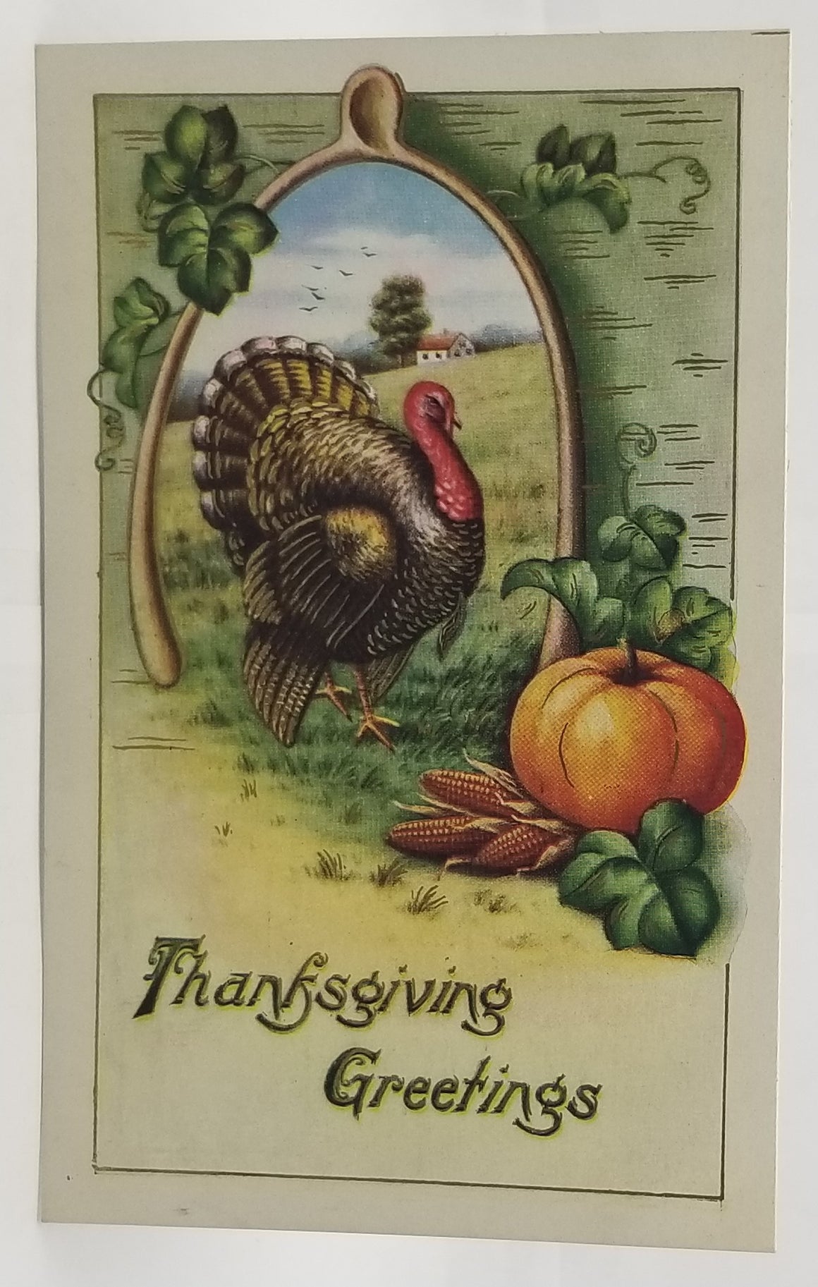 Thanksgiving Postcard Turkey Bird with Harvest Fruit & Vegetables Pumpkins Grapes Unused NM