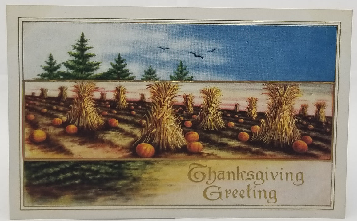 Thanksgiving Postcard Embossed Haystacks Field with Pumpkins Under Blue Sky with Birds Flying Gold Highlights