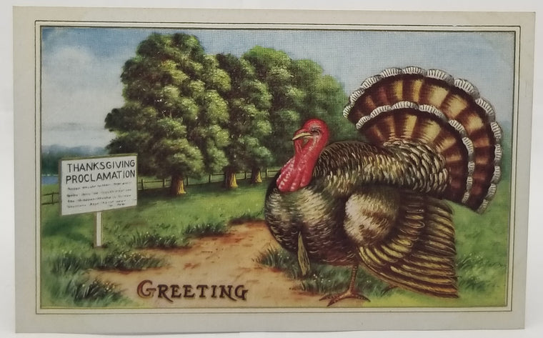 Thanksgiving Postcard Turkey Bird in Landscape with Proclamation Sign Unused