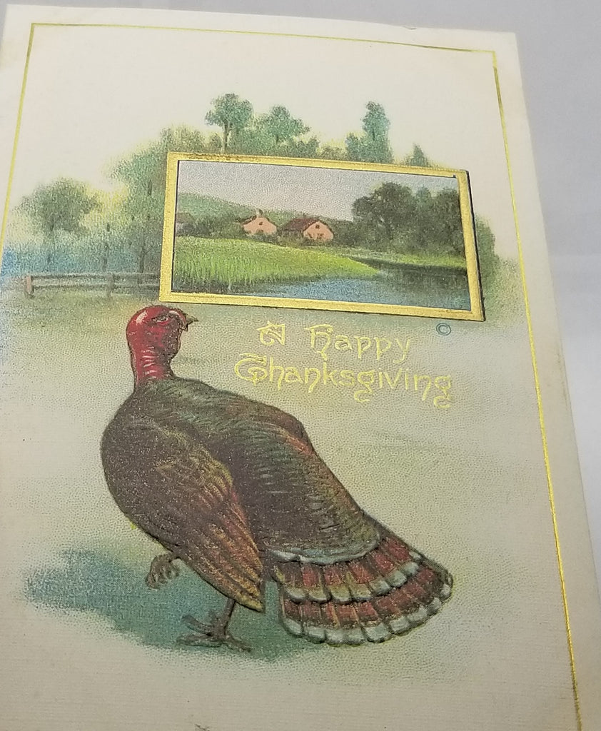 Thanksgiving Postcard Turkey with Country Farm House Near Water Gold Highlights Series 82 JJ Marks Pub